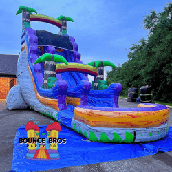 Purple Wave Water Slide